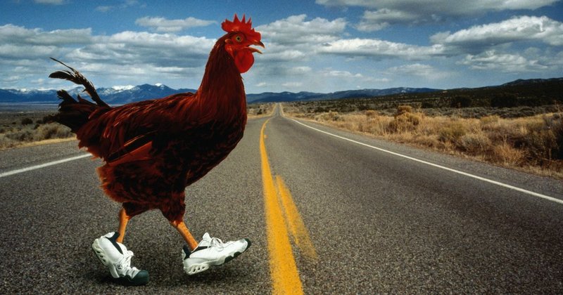 Ontdek de Sensatie: Chicken Road Casino in Nederland Online Spelen in Netherlands